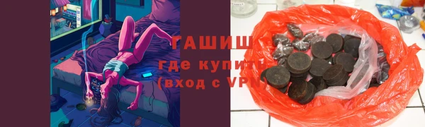 стаф Сясьстрой