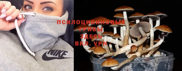 меф Армянск