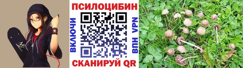 ссылка на мегу ССЫЛКА  Урень  Псилоцибиновые грибы мицелий 